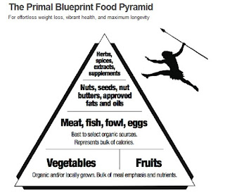 The Primal Blueprint: A Holistic Approach to Health and Wellness