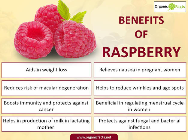 Discover the Nutritional Powerhouse of Raspberries: Packed with Health Benefits!