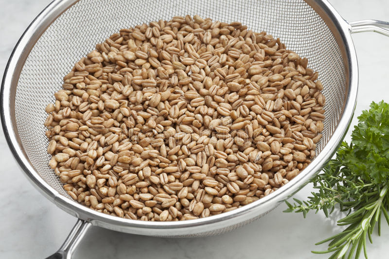 Discover the Nutritional Powerhouse of Farro – The Delicious Whole Grain!