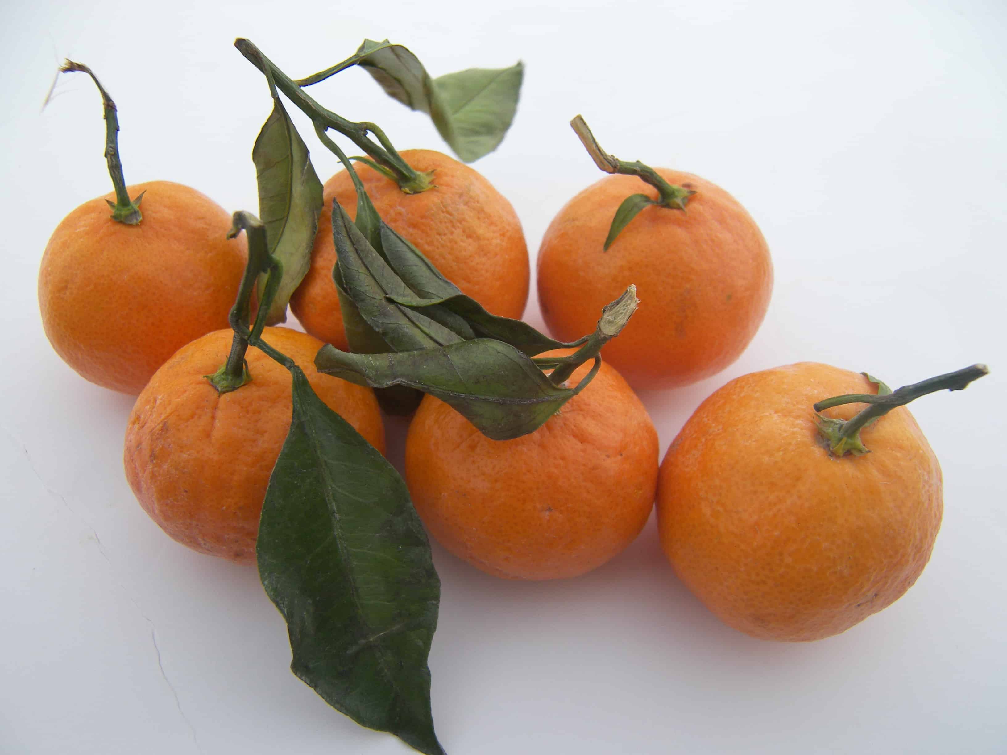 Discover the Health Benefits and Deliciousness of Satsuma Oranges!
