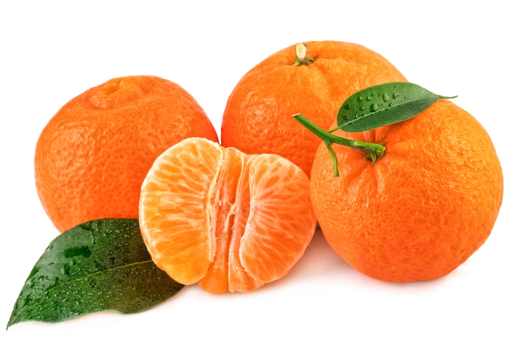 Tangerine Oranges: The Nutritious and Delicious Citrus Fruit