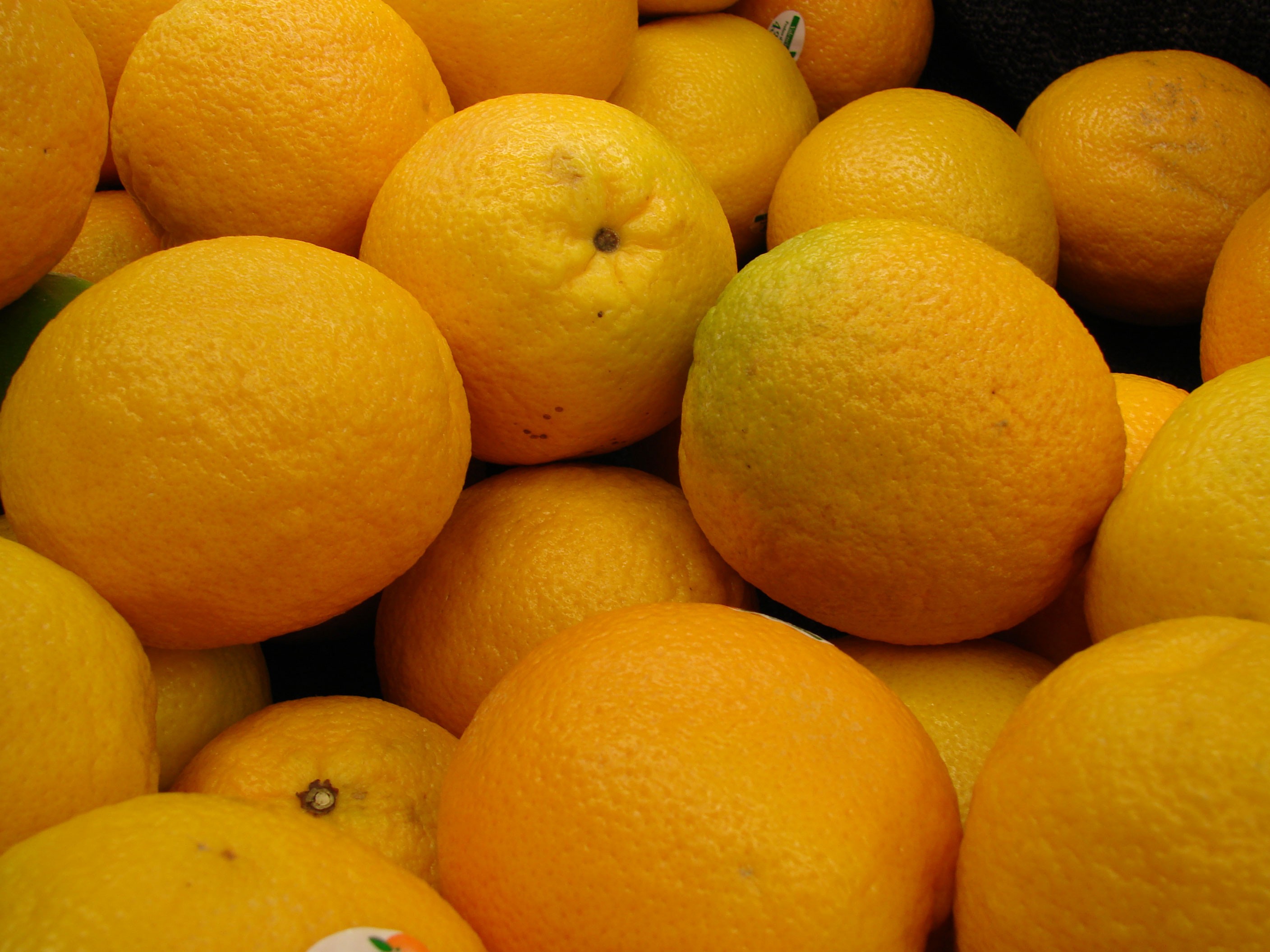 Discover the Sweet and Nutritious World of Valencia Oranges!