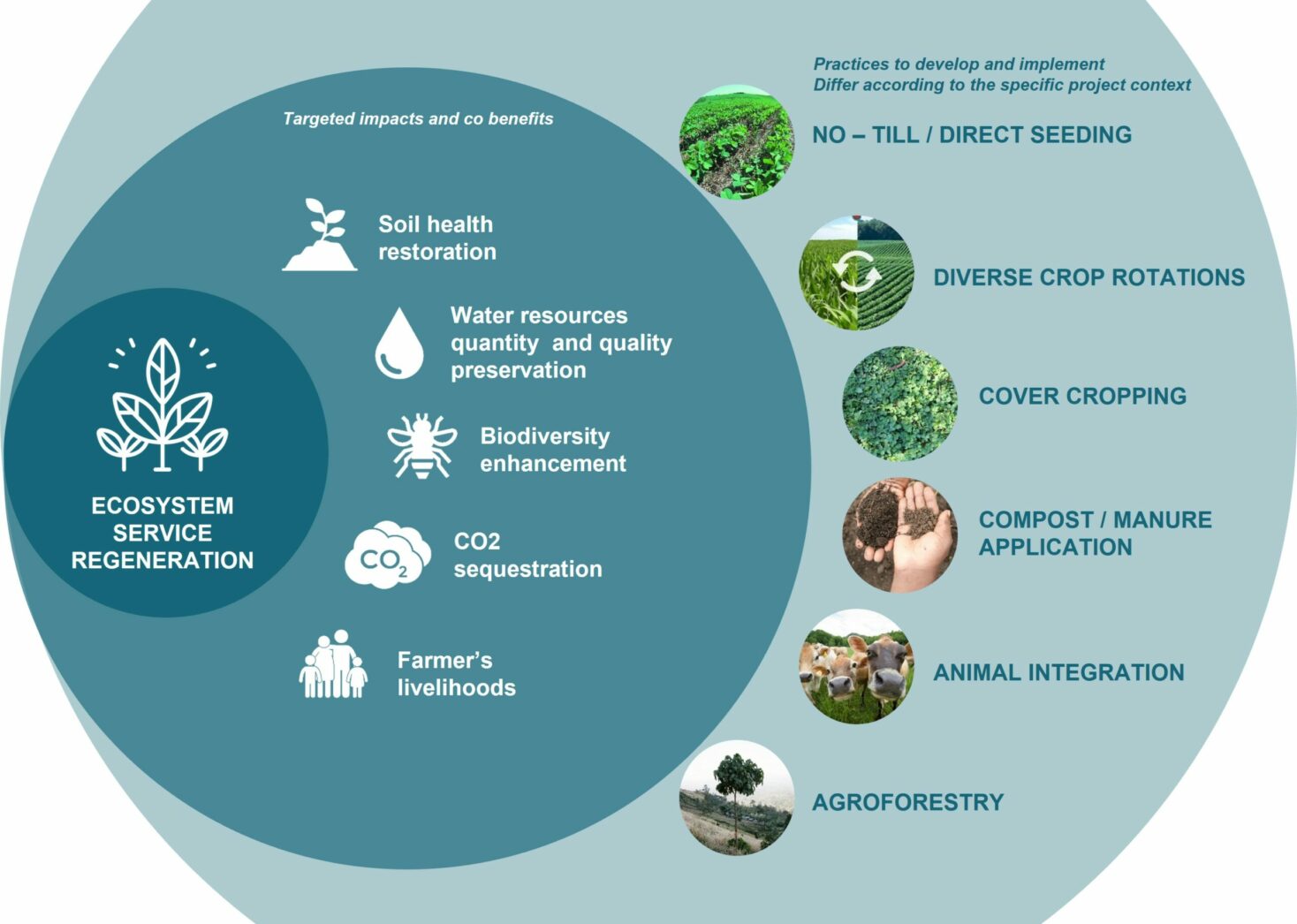 10 Reasons Why Regenerative Agriculture Should Be On Your Radar