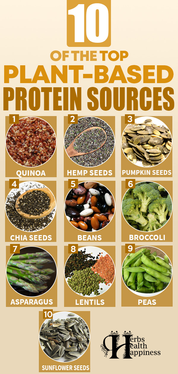 8 Delicious Plant-Based Protein Sources to Add to Your Diet