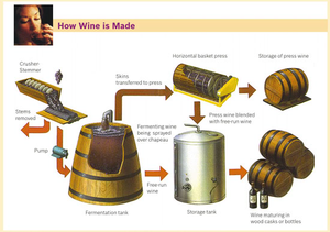 The Cost of Fermenting Wine: A Comprehensive Guide
