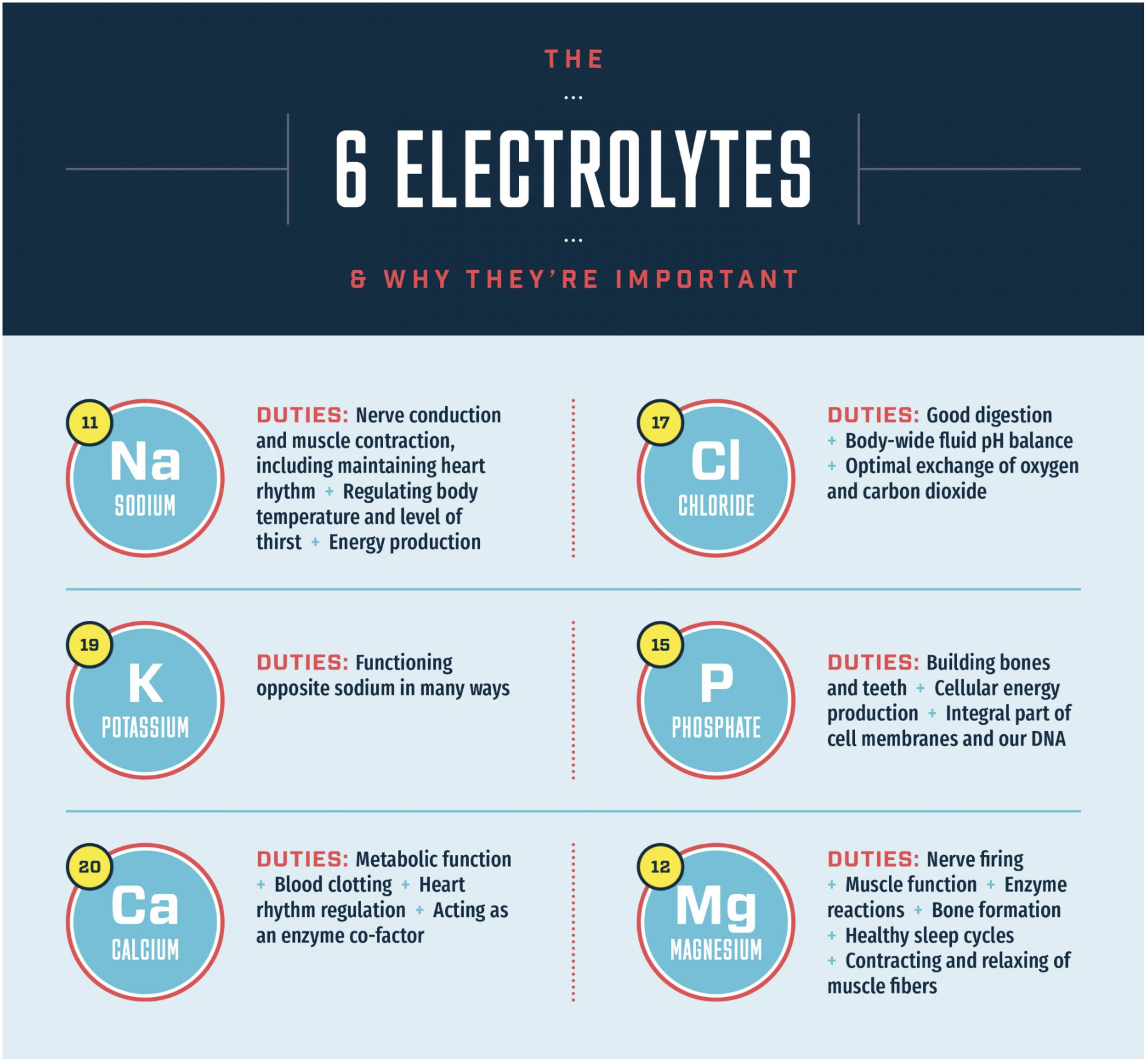 “8 Reasons Why Electrolytes are Vital for a Healthy Diet”