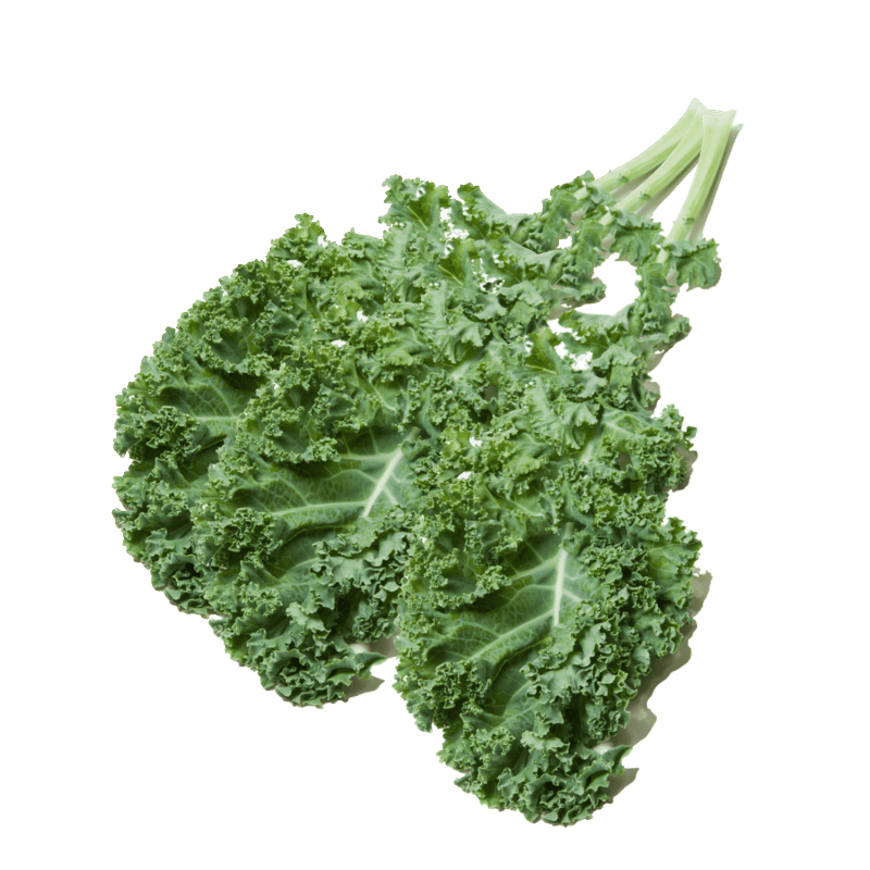 Get Your Greens on with Nutrient-Packed Curly Kale!
