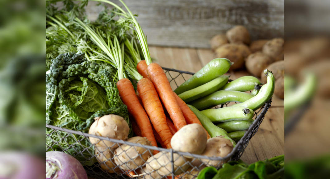 “Grow Your Own Food for a Sustainable and Healthy Lifestyle: Tips to Get Started”