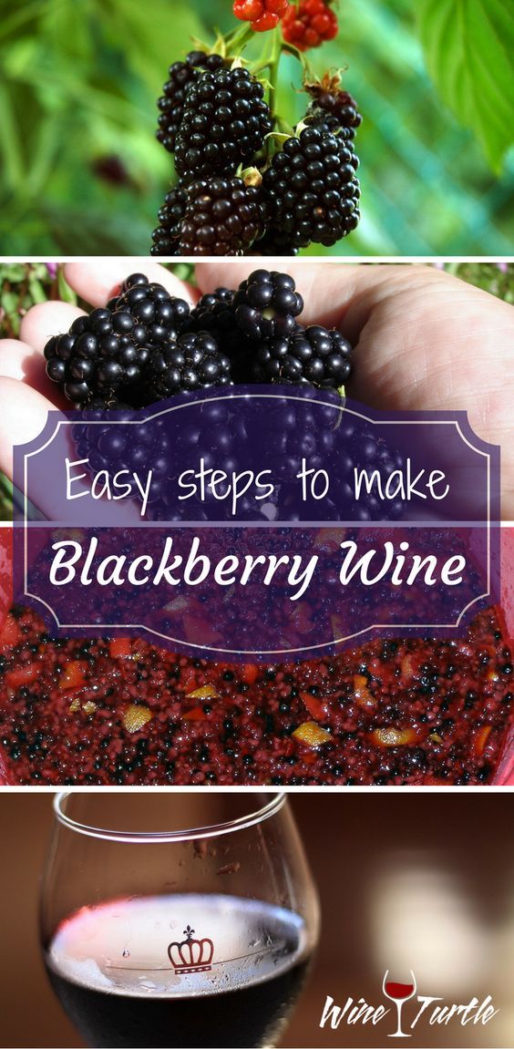 How to Make Delicious Blackberry Wine at Home: A Step-by-Step Guide
