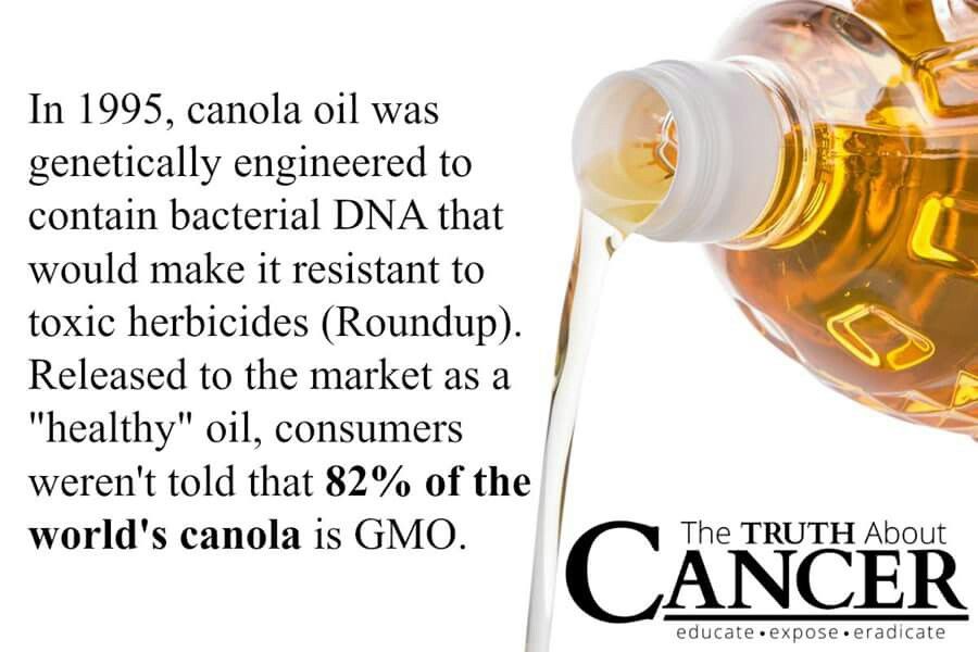 Everything You Need to Know About Canola Oil: Health Benefits, Uses, and Drawbacks