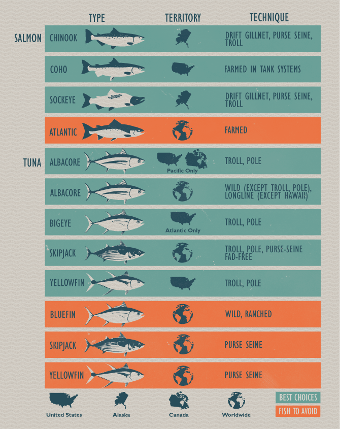 Making Sustainable Seafood Choices: Protecting the Ocean’s Ecosystem While Maintaining a Healthy Diet