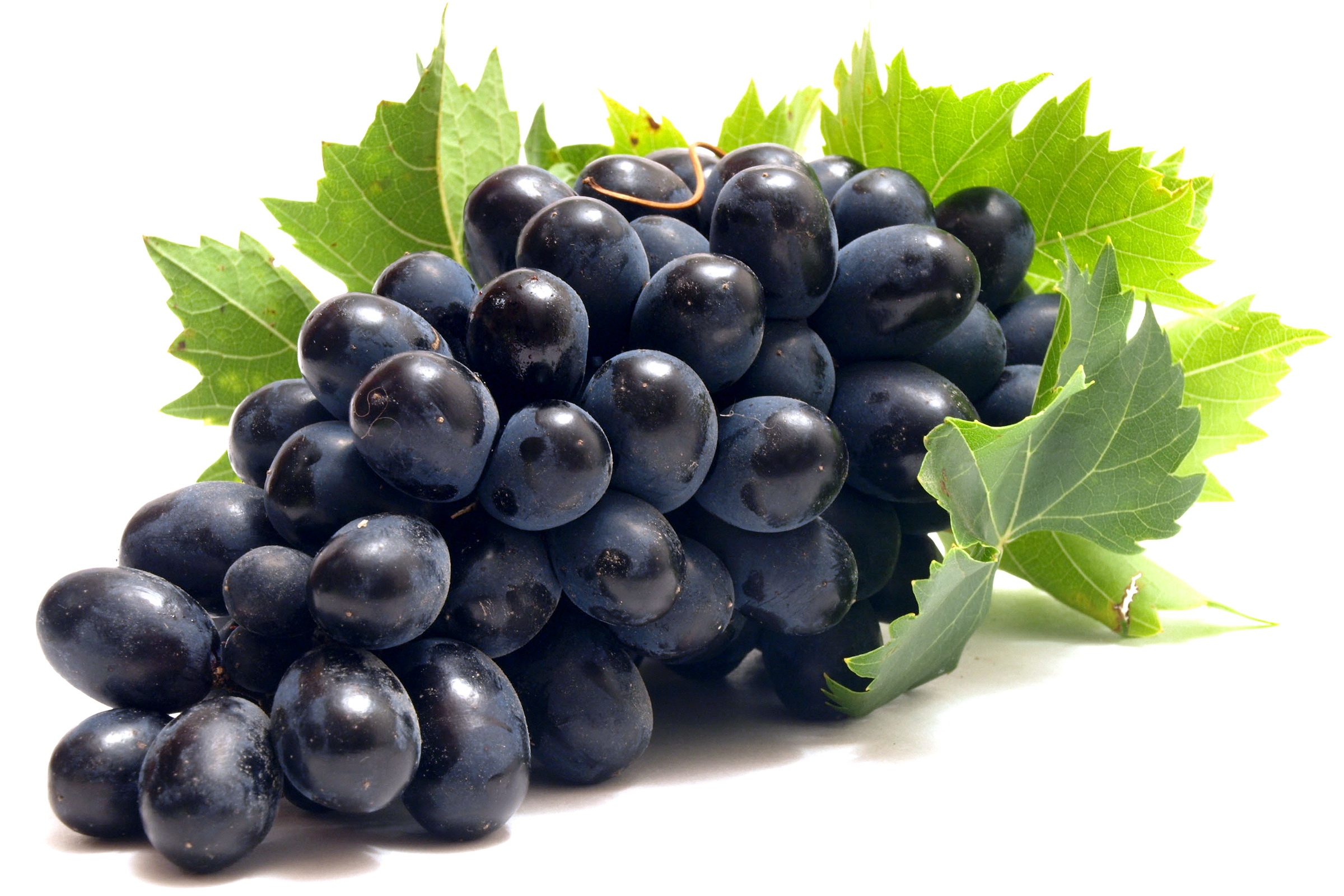10 Reasons Why Black Grapes Should Be Your New Favorite Fruit