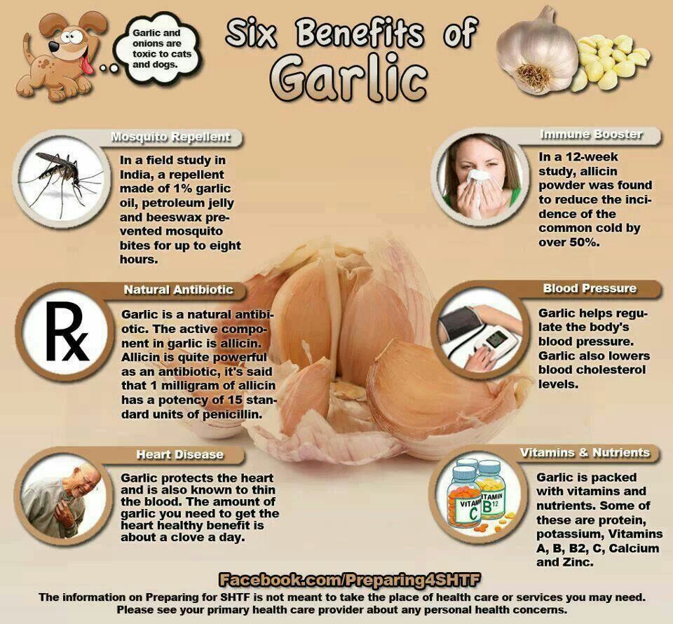 Garlic: The Flavorful Superfood with Numerous Health Benefits