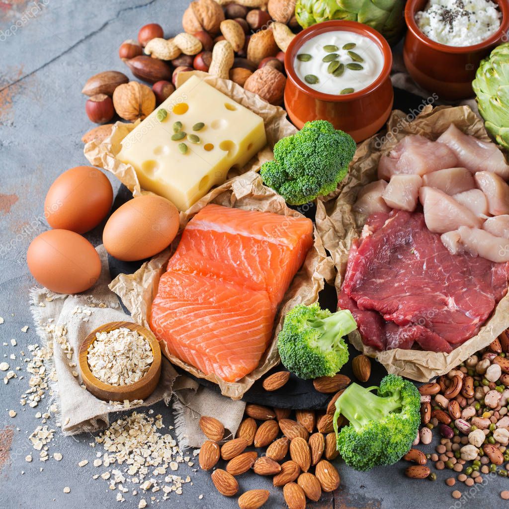 “Protein Power: Understanding Sources and Nutritional Value for Balanced Meals”