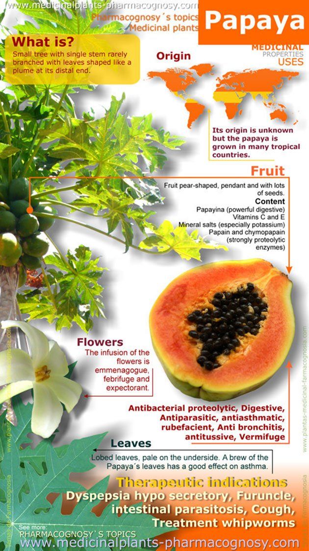 15 Ways Papaya Can Improve Your Digestive Health
