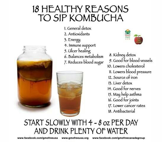 Kombucha and Detoxification: A Match Made in Heaven
