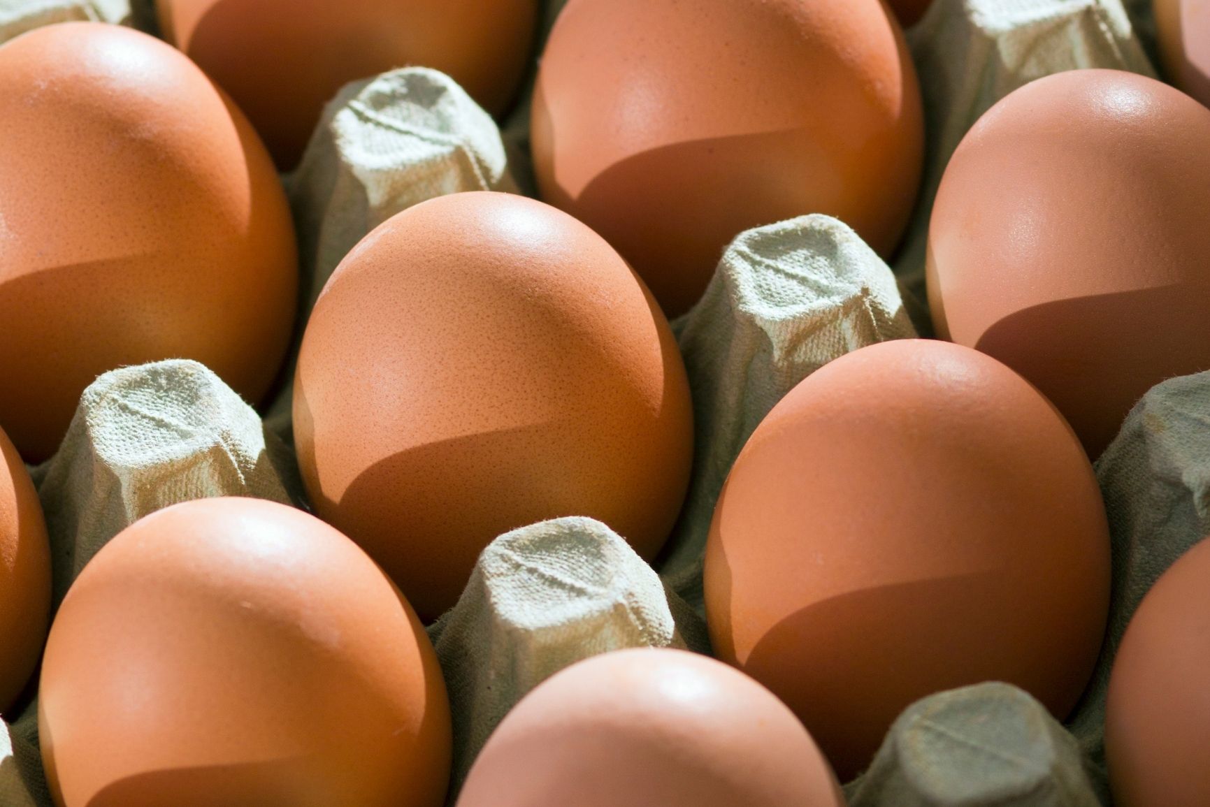 Discover the Nutritional Benefits and Ethical Advantages of Free-Range Eggs