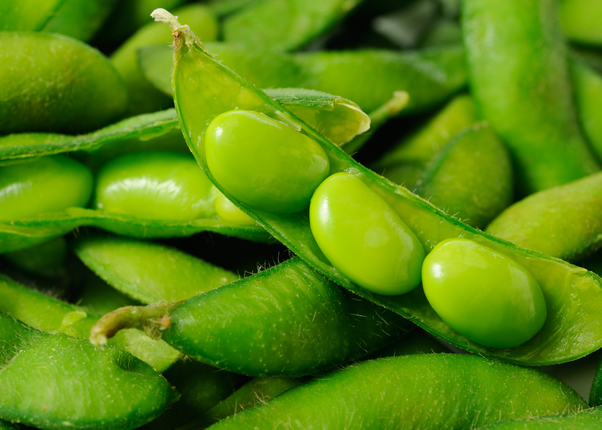 Discover the Nutritional and Health Benefits of Edamame Beans