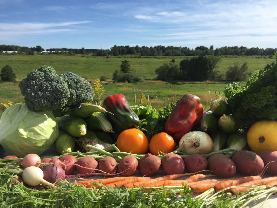 "Get Fresh and Sustainable Produce with Community-Supported Agriculture (CSA) Programs"