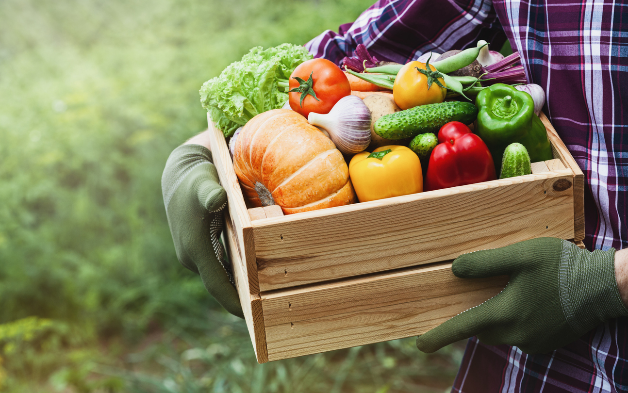 Investing in Sustainable Food Sources: A Smart Choice for Our Health and Environment