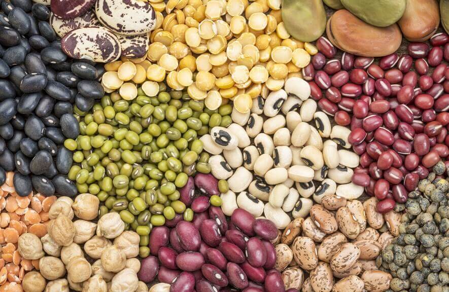 "Top 10 Legumes for a Healthier Lifestyle: Add These Nutrient-Rich Foods to Your Diet Now!"