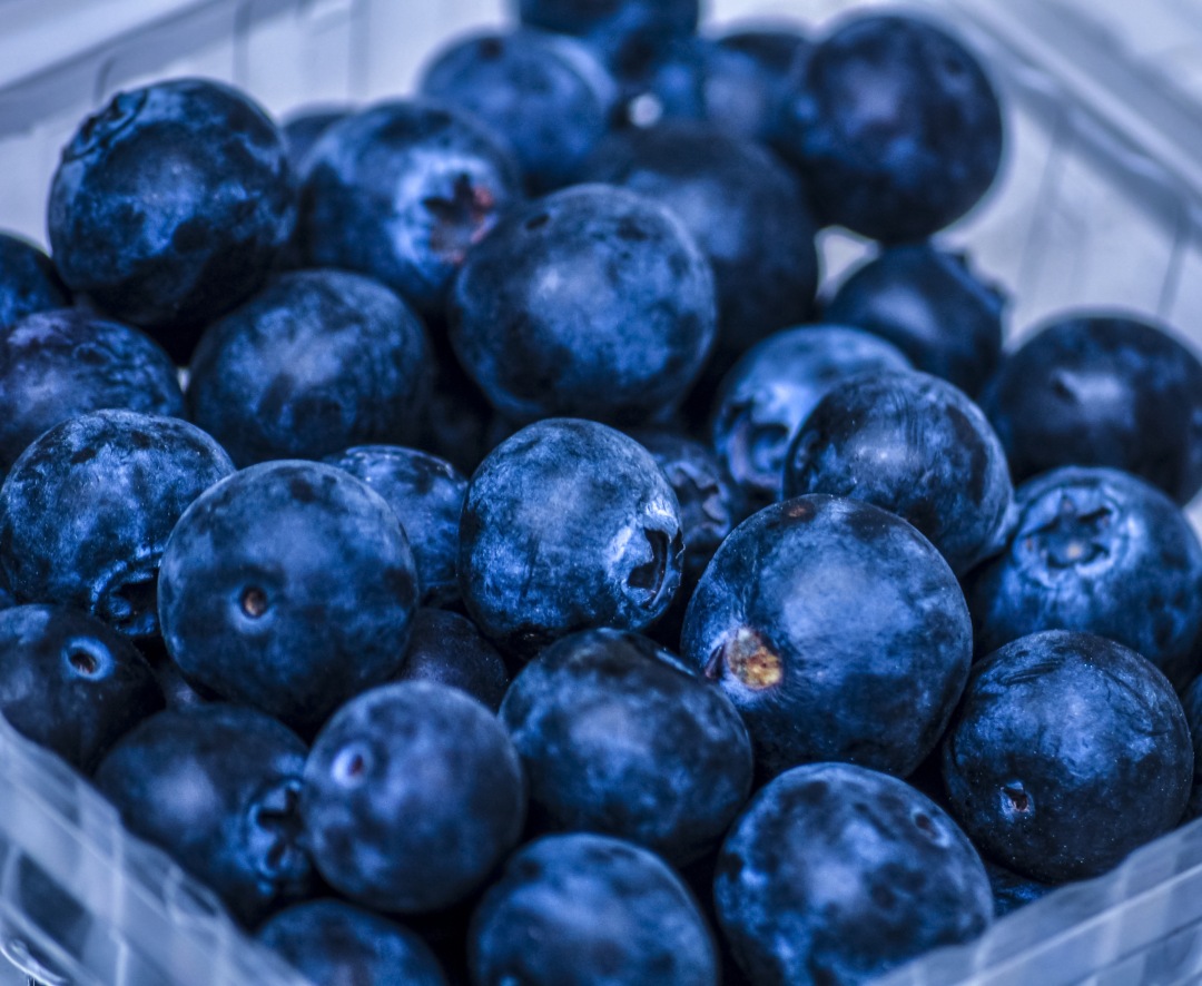 Organic Blueberries: The Nutritional Powerhouse