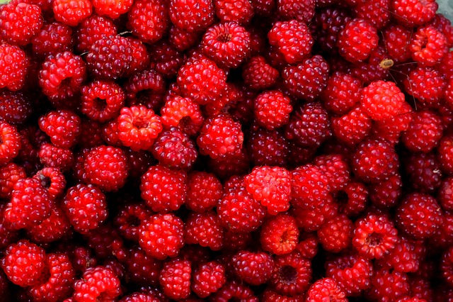 Raspberries: A Sweet Solution for Diabetes Management