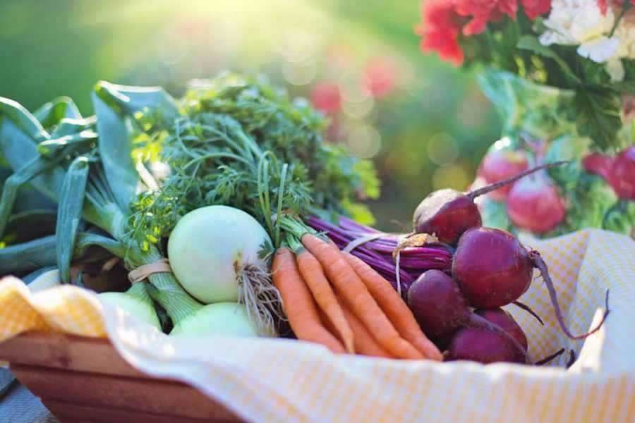 “Embrace Seasonal Eating: Connect with Nature, Support Local Farmers, and Boost Your Health!”