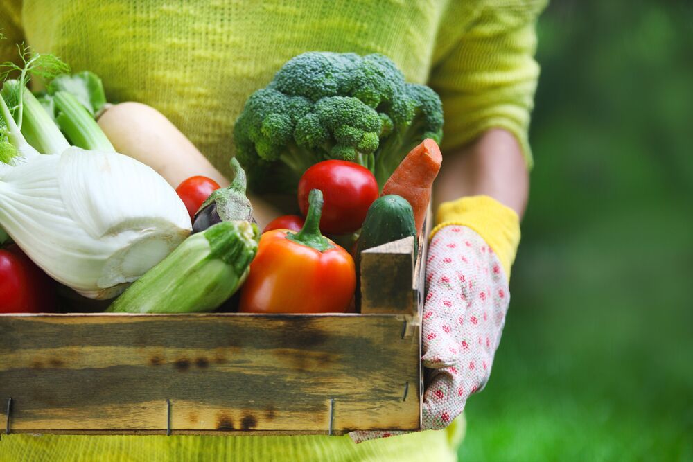 “Grow Your Own Produce and Reap the Benefits: Fresh, Nutritious and Budget-Friendly!”