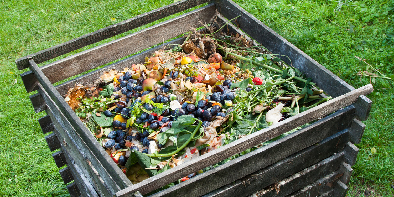 “Transform Your Garden and Health with Composting and Soil Health Management Techniques”