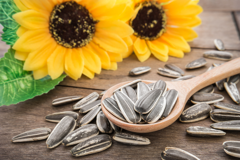 Sunflower Seeds: A Nutrient-Packed Snack for Better Health!