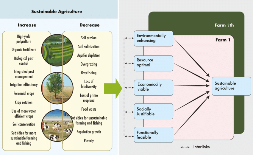 Sustainable Agriculture: The Holistic Approach to Feeding the World Sustainably