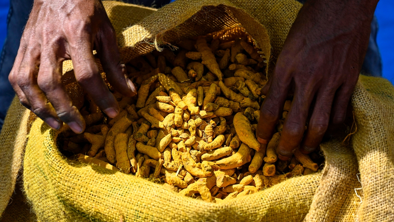 Discover the Health Benefits and Culinary Uses of Turmeric: A DIY Guide