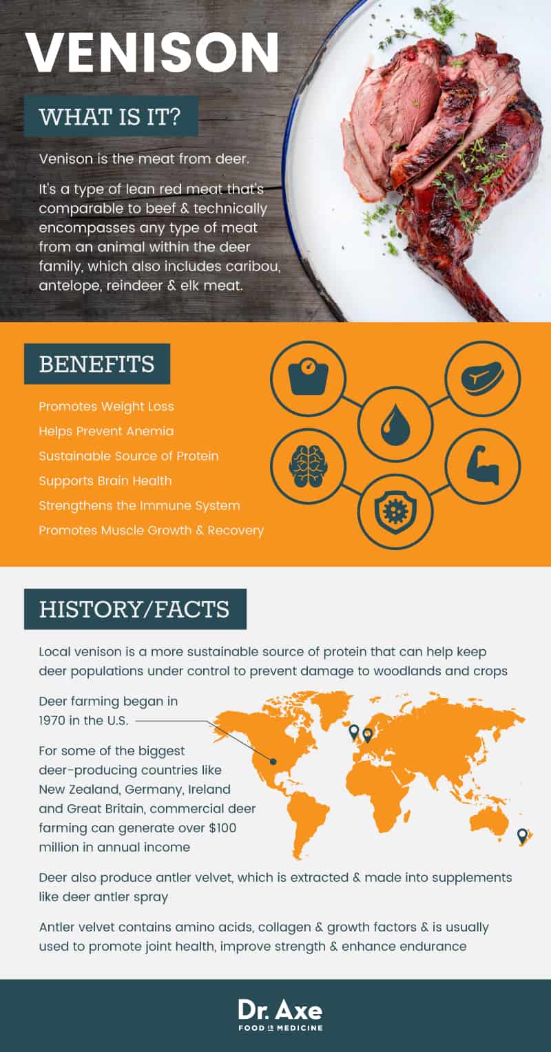 15 Reasons Why Venison Should Be Your New Favorite Meat Option