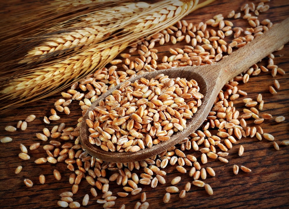 10 Refined Grain Products to Include in Your Healthy Eating Plan