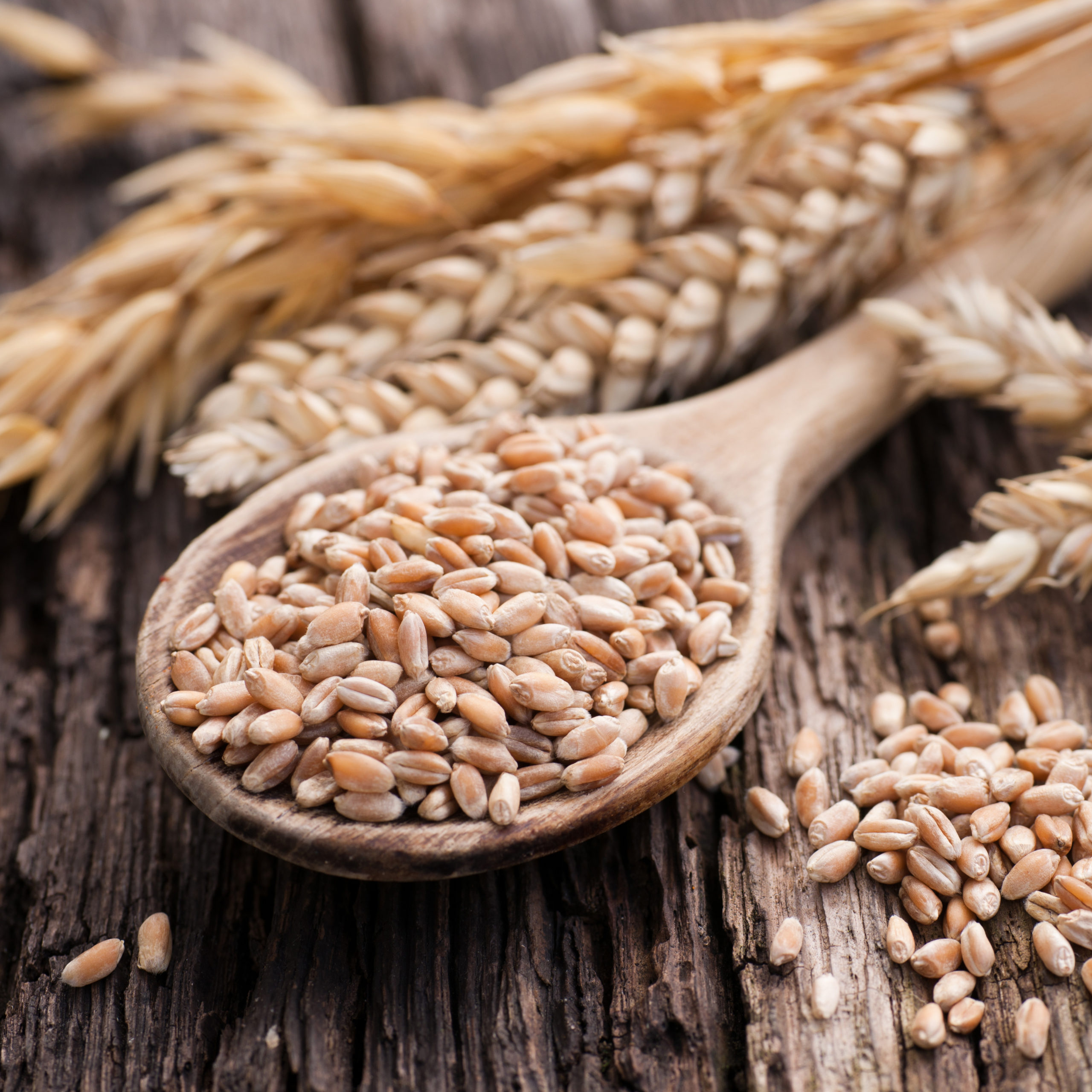 Upgrade Your Diet with Delicious Whole Grains!
