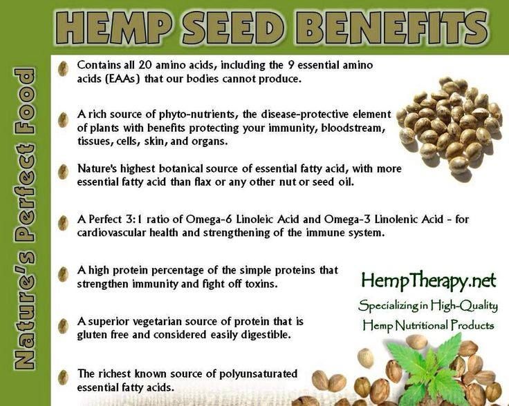 “Unlock the Power of Hemp Seeds: A Nutrient-Packed Superfood for Your Health”