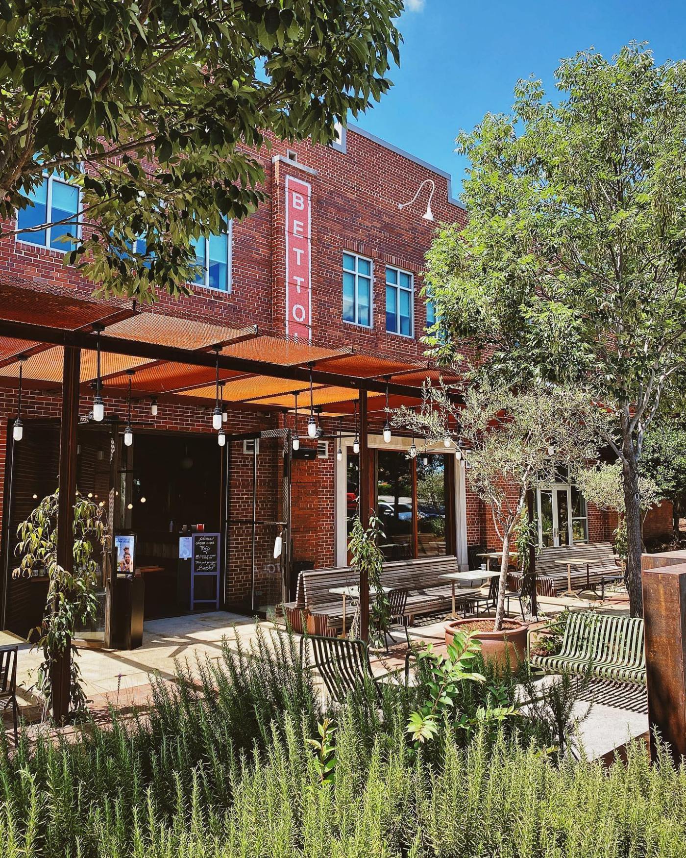 “From Field to Fork: Exploring the Rise of Farm-to-Table Dining and Celebrating Sustainable Cuisine”