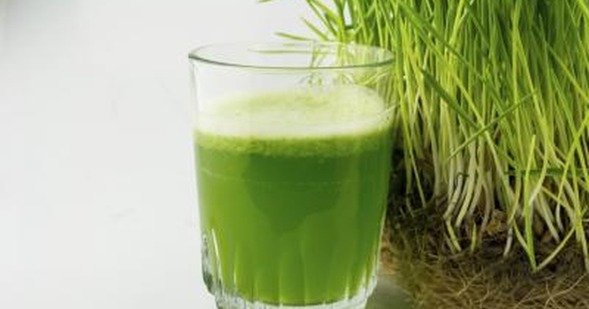 “Revitalize Your Health with Wheatgrass Shots: The Ultimate Natural Detox Remedy”