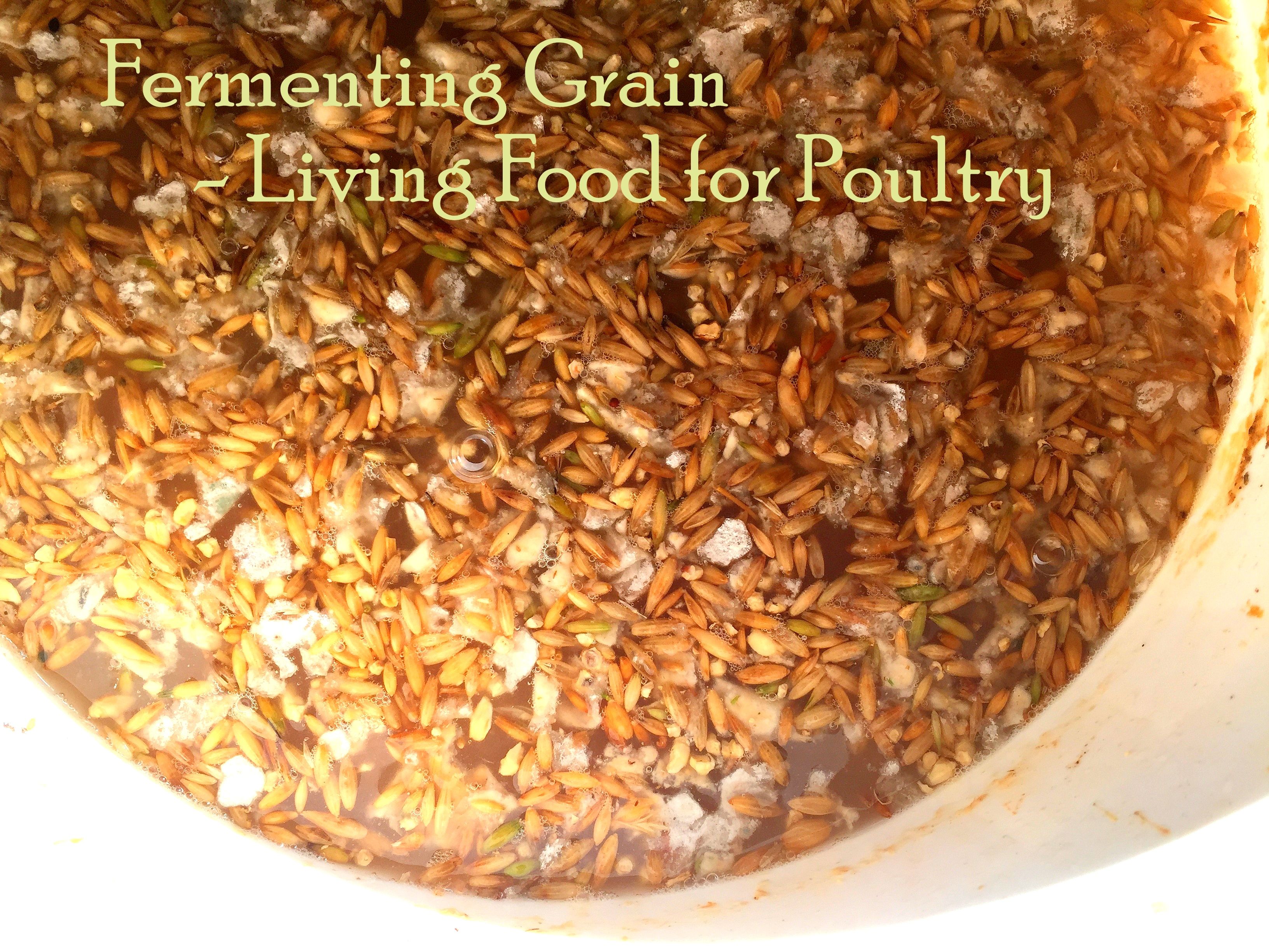 Unveiling the Hidden Gems of the Mediterranean Diet: Unique Features and Lesser-Known Delights