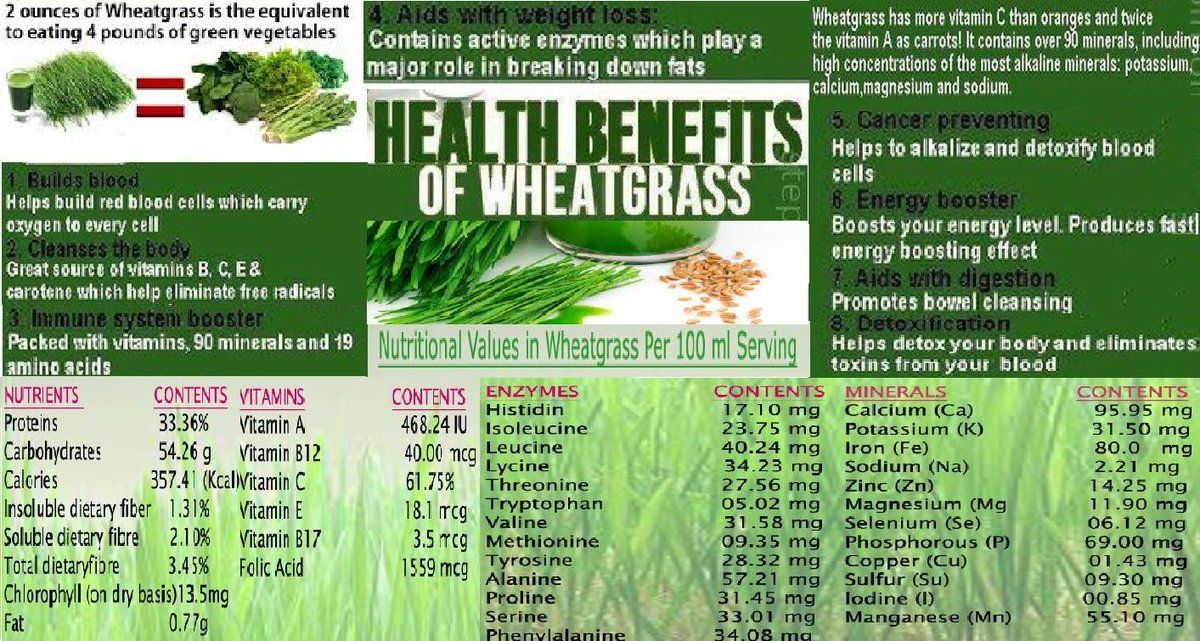 Unleash the Power of Wheatgrass: The Superfood Supplement for Energy, Detoxification, and Well-being