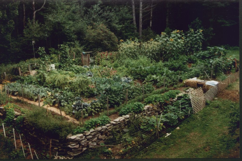 Permaculture: A Sustainable Solution for Healthy Eating