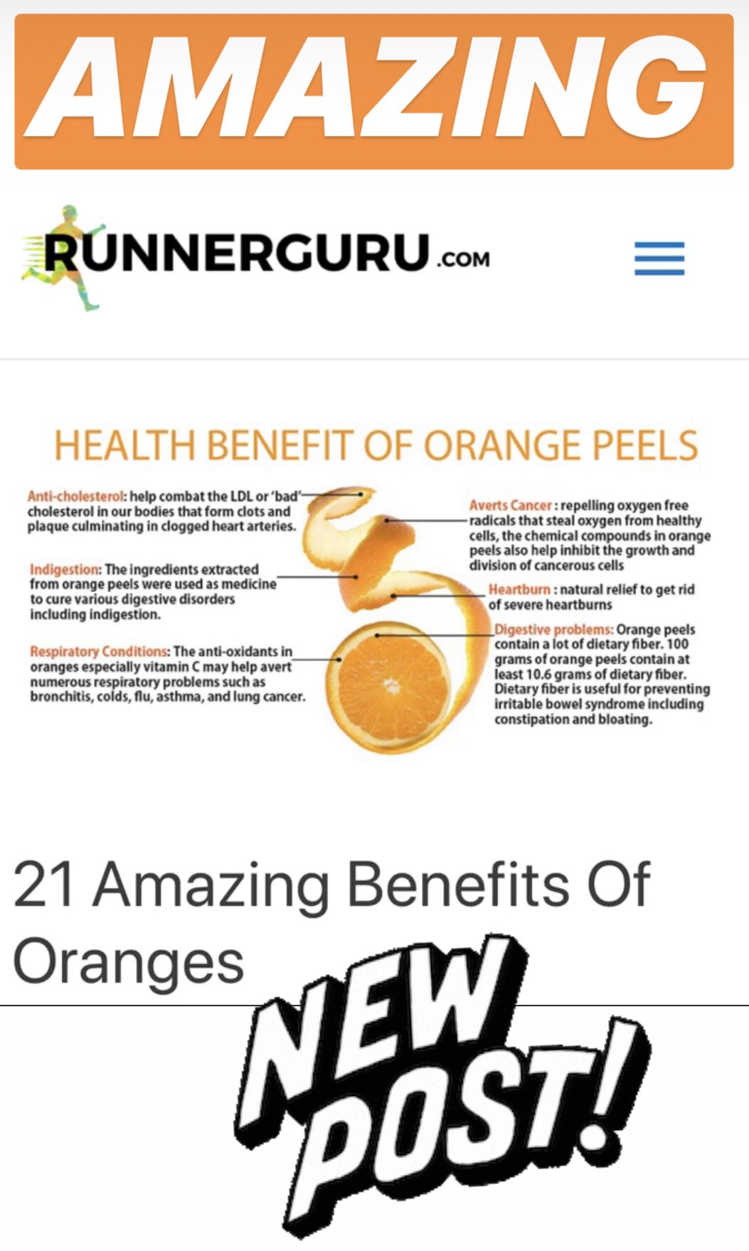 Oranges: The Tangy Solution for a Healthy Gut