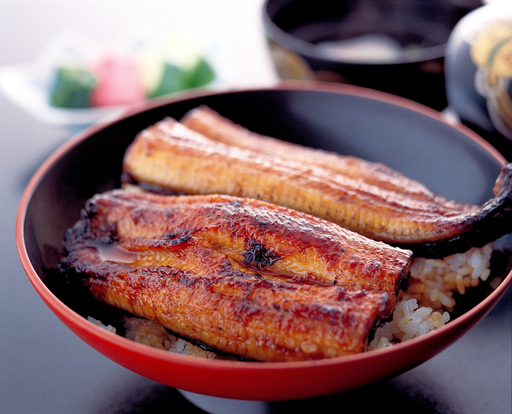 Shizuoka: A Food Lover’s Paradise