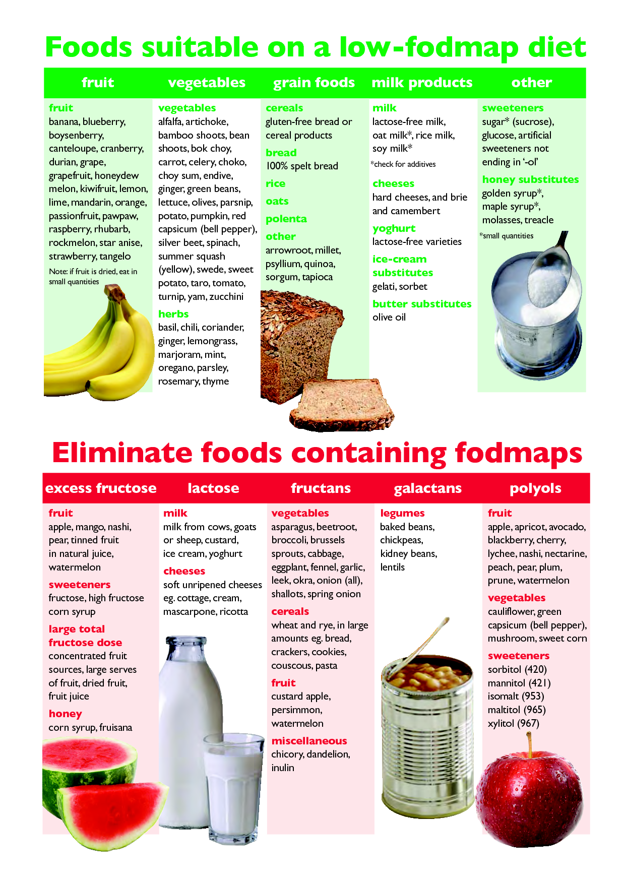 15 Essential Things to Know About the FODMAP Diet for Digestive Health