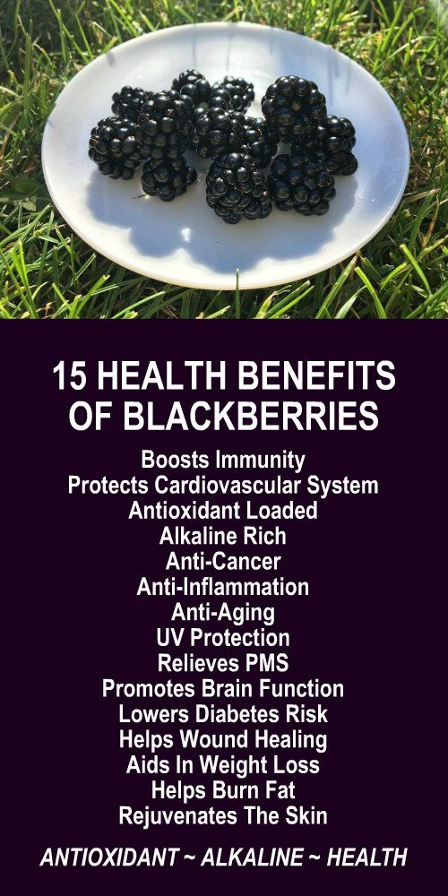 "Blackberries: The Delicious Superfood Packed with Nutritional Benefits!"