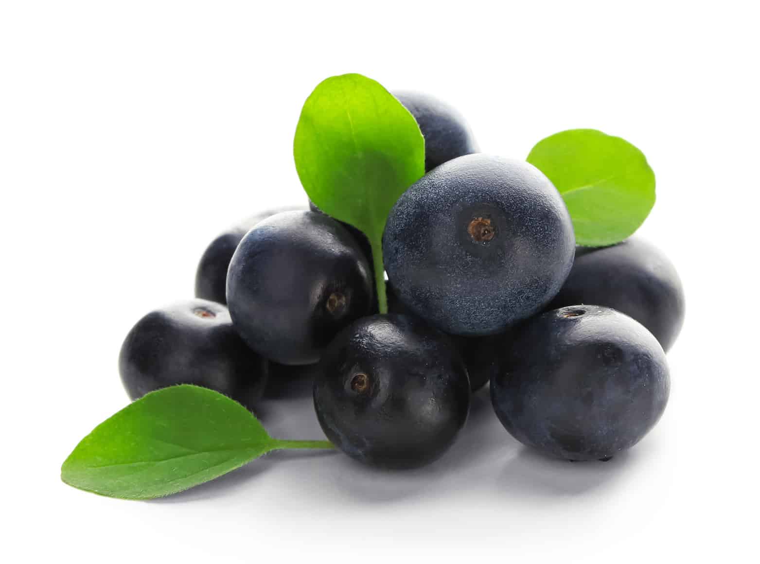 “Acai: The Superfood for Inflammation Reduction”