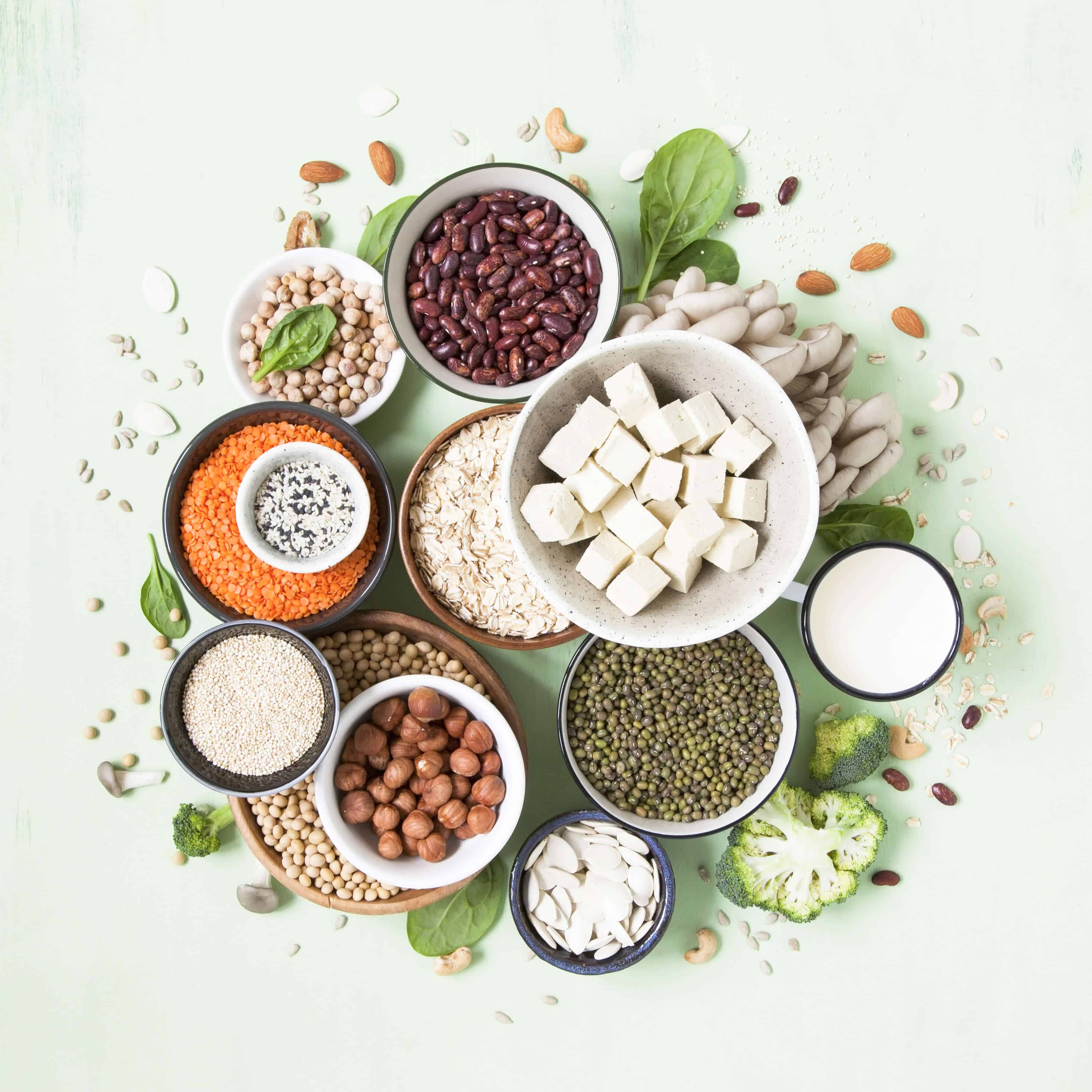 “Power Up Your Plate: The Rise of Plant-Based Proteins for Health and Sustainability”