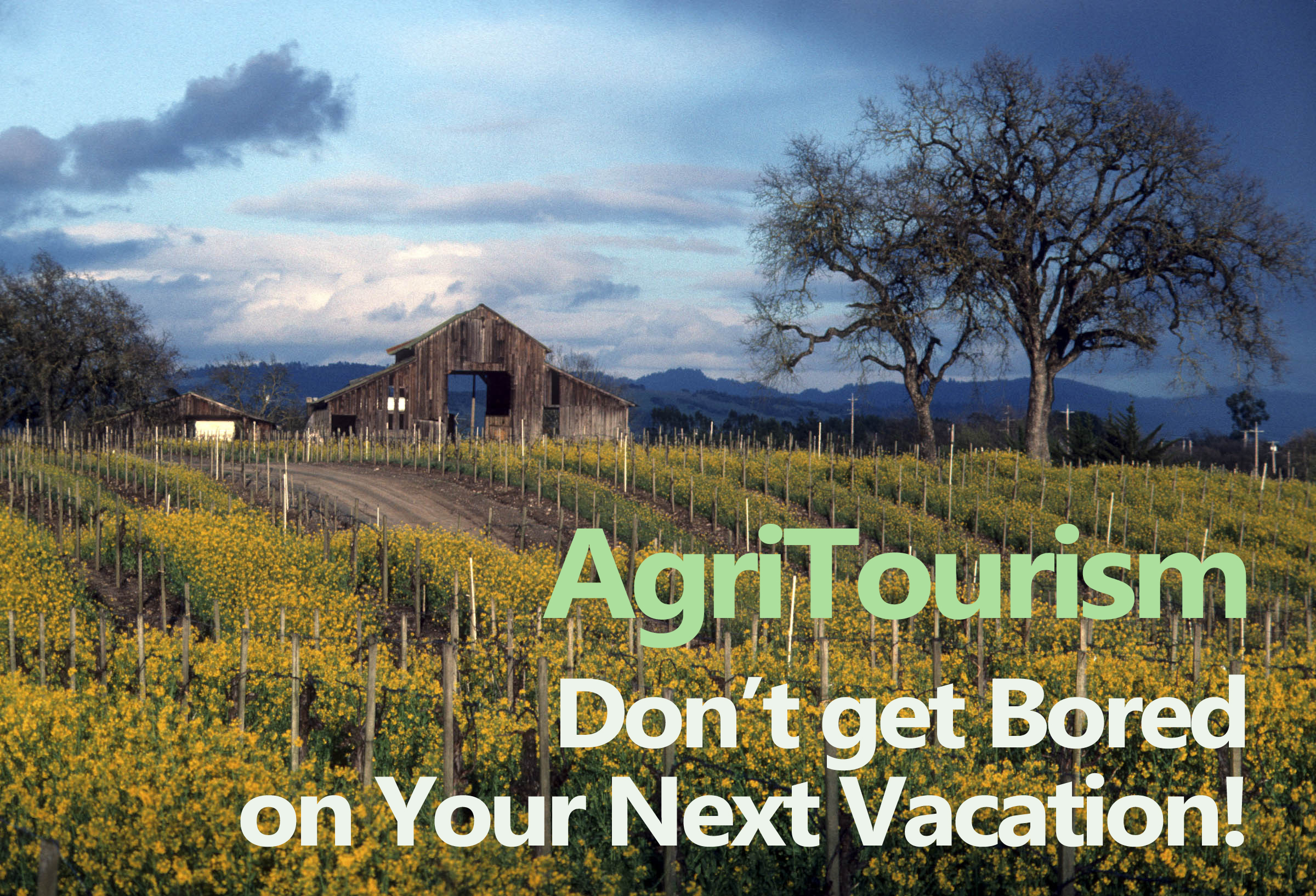 Farm Tours and Agritourism: Connecting with Healthy Eating in a Fun and Educational Way