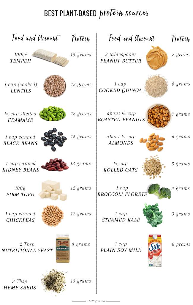 Power up with Plant-based Protein Sources: A Guide to Nourishing Your Body